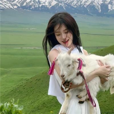 欲海女王蜂
